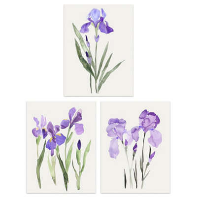 Wee Blue Coo Wall Art Print Set Of 3 Prints Watercolour Iris Floral Flowers Purple Wall Art from B&Q
