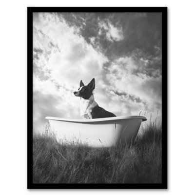 Artery8 Collie In A Bathtub Black White Surreal Dog Lover Wall Art PrintA4 Size from B&Q