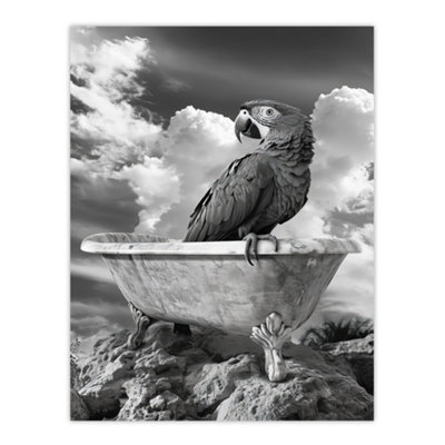 Artery8 Unframed Wall Art Macaw Parrot Bird On Bathtub Black White Surreal12X16 Inch from B&Q