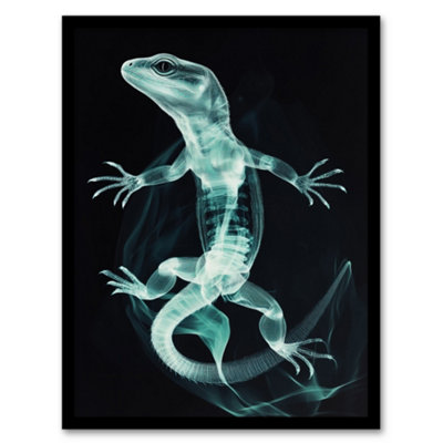 Artery8 Smoke And Xray Effect Lizard Electric Blue Wall Art PrintA4 Size from B&Q