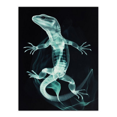 Artery8 Unframed Wall Art Smoke And Xray Effect Lizard Electric Blue12X16 Inch from B&Q