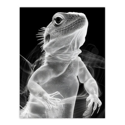 Artery8 Unframed Wall Art Xray Effect Lizard Detailed Scales White On Black12X16 Inch from B&Q