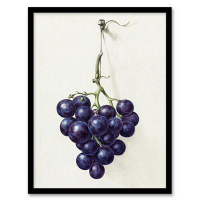 Artery8 Bunch Of Blue Grapes Oil Jean Bernard Vintage Framed Wall Art Print 12X16"