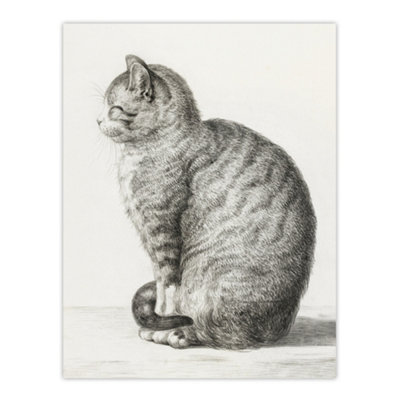 Artery8 Sitting Smiling Cat Pencil Drawing Bernard Wall Art Poster Print 12X16" from B&Q