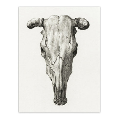 Artery8 Skull Of A Cow Pencil Drawing Bernard Vintage Wall Art Poster Print 12X16" from B&Q