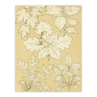 B&Q -  Oak Leaves And Acorns Botanical Jones Vintage Wall Art Poster Print 12X16"