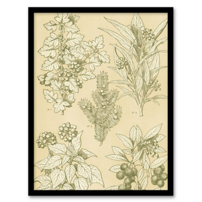 B&Q -  Leaves From Nature No 7 Botanical Jones Vintage Framed Wall Art Print 12X16"