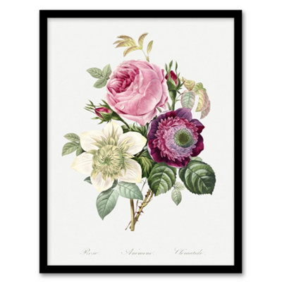 Artery8 Anemone And Cabbage Rose Flower Redoute Vintage Framed Wall Art Print 12X16" from B&Q