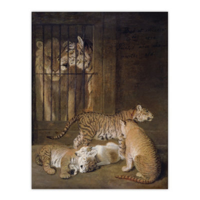 Artery8 Whelps Lion And Tigress In Zoo Cage Agasse Wall Art Poster Print 12X16" from B&Q