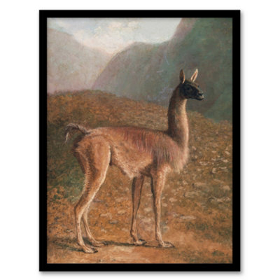 Artery8 Guanaco Llama In Mountain Landscape Agasse Framed Wall Art Print 12X16" from B&Q