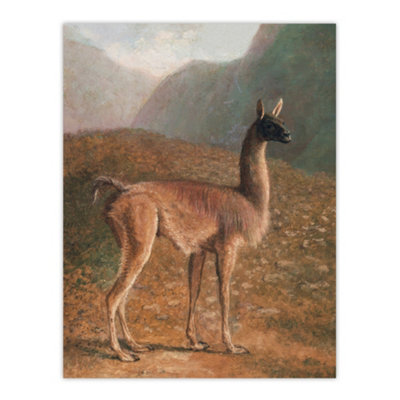 Artery8 Guanaco Llama In Mountain Landscape Agasse Wall Art Poster Print 12X16" from B&Q