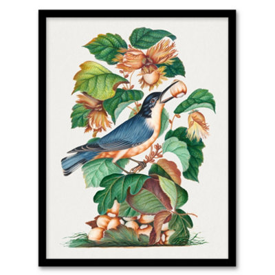 Artery8 Nuthatch Bird Hazel Oak And Bramble Bolton Framed Wall Art Print 12X16" from B&Q
