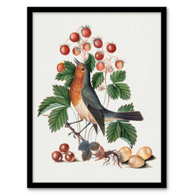 Artery8 Robin Bird And Wild Strawberry Plant Bolton Framed Wall Art Print 12X16" from B&Q
