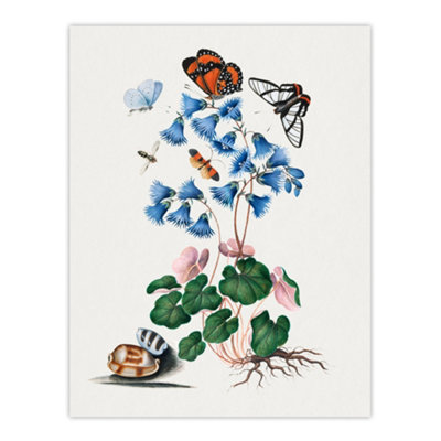 Artery8 Soldanella Flower And Butterflies Bolton Wall Art Poster Print 12X16" from B&Q