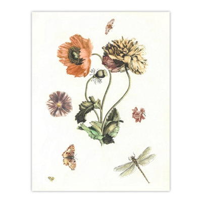 Artery8 Poppies Butterflies And Dragonfly Teyler Wall Art Poster Print 12X16" from B&Q