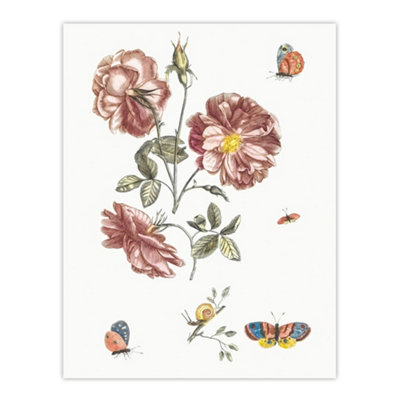 B&Q -  Rose Flowers Butterflies And A Snail Teyler Wall Art Poster Print 12X16"