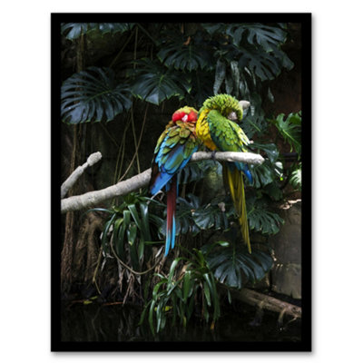 B&Q -  Carol M Highsmith Colourful Sleeping Parrots Photo Framed Wall Art Print A4