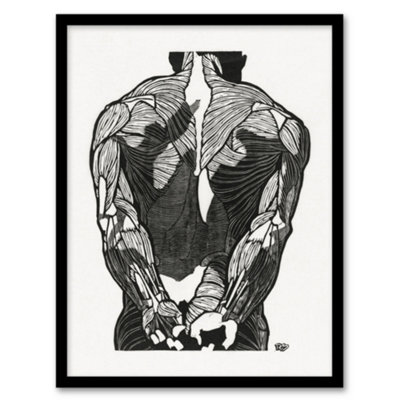 Artery8 Reijer Stolk Anatomical Study Of Mans Back Muscles Framed Wall Art Print A4 from B&Q