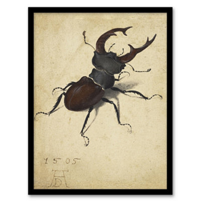 B&Q -  Albrecht Durer Stag Beetle Nature Study Painting Framed Wall Art Print A3