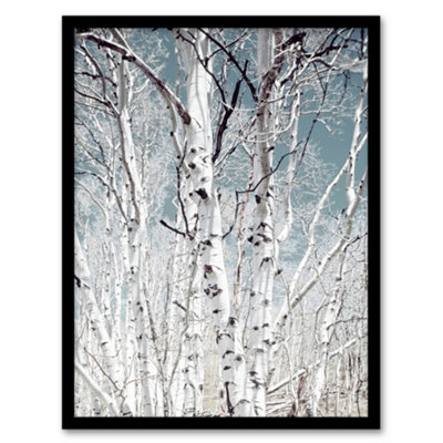 Artery8 Carol M Highsmith Birch Trees In Utah Photograph Framed Wall Art Print A3 from B&Q