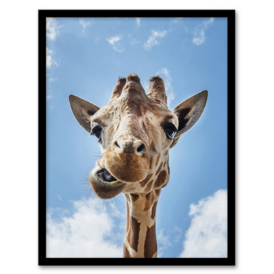 Artery8 Carol M Highsmith Funny Up Close Look At A Giraffe Framed Wall Art Print A3 from B&Q