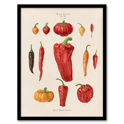 Artery8 Ernst Benary Capsicums And Chili Pepper Varieties Framed Wall Art Print A3 from B&Q