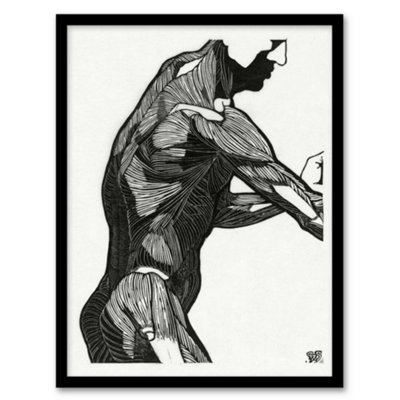Artery8 Reijer Stolk Anatomical Study Of A Mans Lateral Muscles Framed Wall Art Print A3 from B&Q