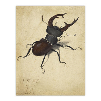 Artery8 Stag Beetle Nature Study Albrecht Durer Wall Art Poster Print 12X16" Size 12