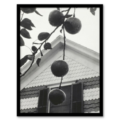 Artery8 Gable And Apples Photograph Alfred Stieglitz Framed Wall Art Print 12X16" from B&Q