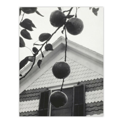 Artery8 Gable And Apples Photograph Alfred Stieglitz Wall Art Poster Print 12X16" from B&Q