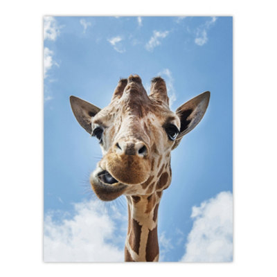 Artery8 Funny Up Close Look At A Giraffe Highsmith Wall Art Poster Print 12X16" from B&Q