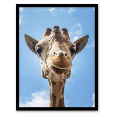 Artery8 Up Close Look At A Giraffe Carol M Highsmith Framed Wall Art Print 12X16" from B&Q