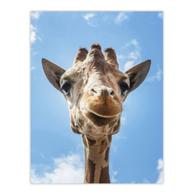 Artery8 Up Close Look At A Giraffe Carol M Highsmith Wall Art Poster Print 12X16" from B&Q