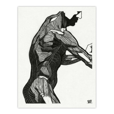 Artery8 Anatomical Study Of Mans Lateral Muscles Stolk Wall Art Poster Print 12X16" from B&Q