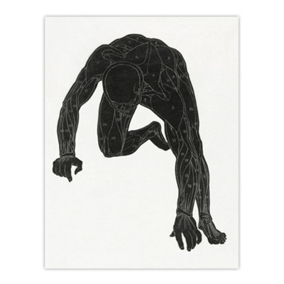 Artery8 Man Muscles Anatomical Silhouette Study Stolk Wall Art Poster Print 12X16" from B&Q