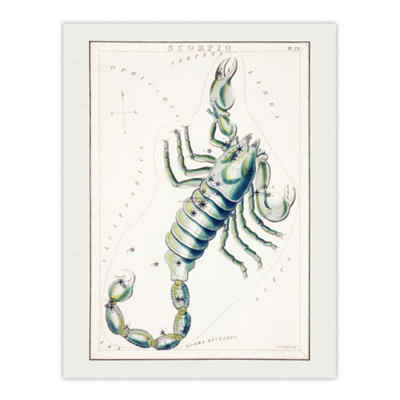 B&Q -  Astronomical Chart Illustration Of Scorpio Hall Wall Art Poster Print 12X16"