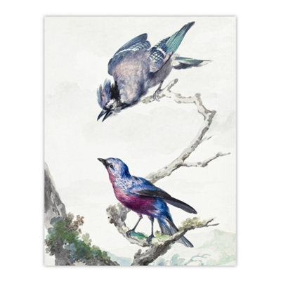 B&Q -  Blue Jay And A Purple Breasted Cotinga Schouman Wall Art Poster Print 12X16"