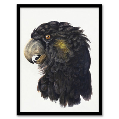 Artery8 Cockatoo Parrot Head Watercolour Schouman Framed Wall Art Print 12X16" from B&Q