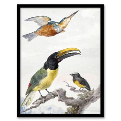 B&Q -  Kingfisher Toucan Bird And A Sparrow Schouman Framed Wall Art Print 12X16"
