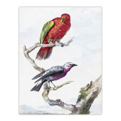 Artery8 Red Green Parrot And Bird Watercolour Schouman Wall Art Poster Print 12X16" from B&Q