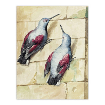 B&Q -  Two Wallcreepers Watercolour Painting Schouman Wall Art Poster Print 12X16"