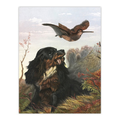 Artery8 Cocker Spaniel Dog And Woodcock Arthur Tait Wall Art Poster Print 12X16" from B&Q
