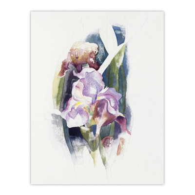 Artery8 Purple Iris Flower Watercolour Demuth Wall Art Poster Print 12X16" from B&Q