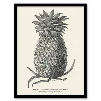 Artery8 Vintage Black White Pineapple Illustration Wright Framed Wall Art Print 12X16" from B&Q