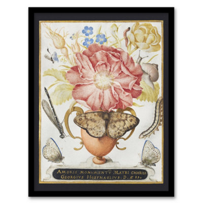 B&Q -  Flowers Snail Insects And Butterflies Hoefnagel Framed Wall Art Print 12X16"