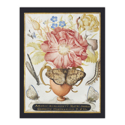 B&Q -  Flowers Snail Insects And Butterflies Hoefnagel Wall Art Poster Print 12X16"