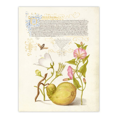 Artery8 Beetle Flowers And Gourd Calligraphy Wall Art Poster Print 12X16" from B&Q