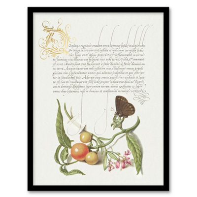 B&Q -  Butterfly Cherries And Milkwort Calligraphy Framed Wall Art Print 12X16"