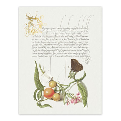 B&Q -  Butterfly Cherries And Milkwort Calligraphy Wall Art Poster Print 12X16"