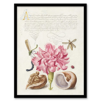B&Q -  Carnation Walnut And Mollusk Calligraphy Framed Wall Art Print 12X16"